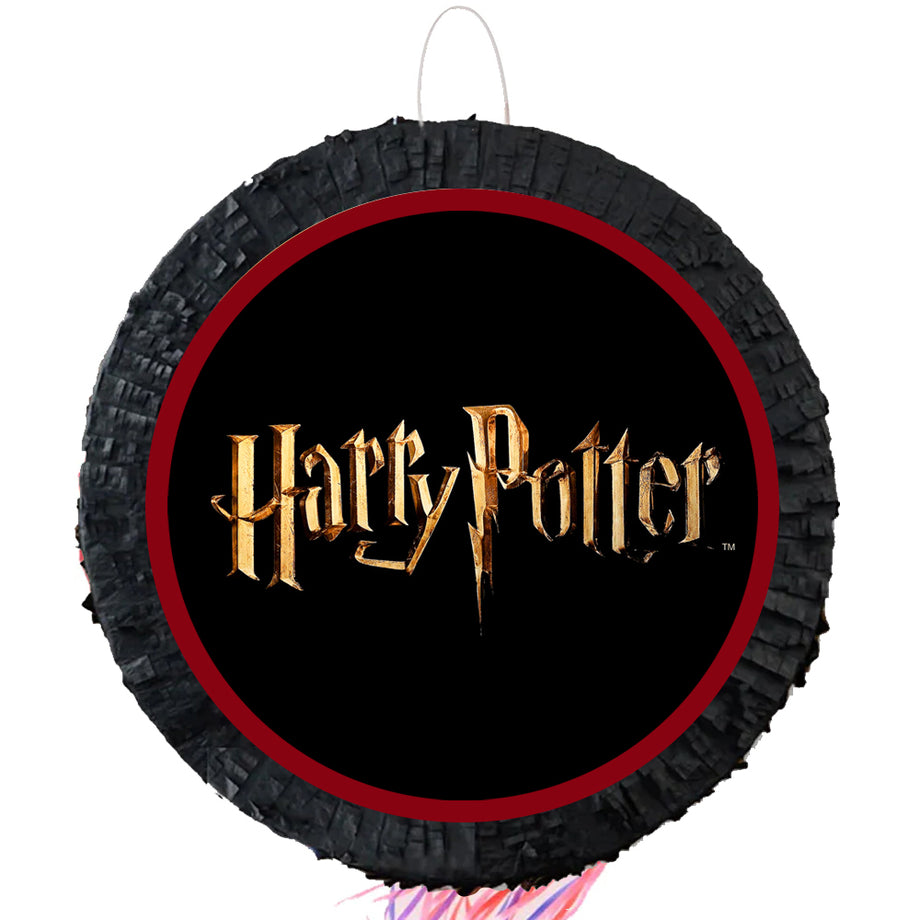 Harry Potter Pinata Kit with Favors